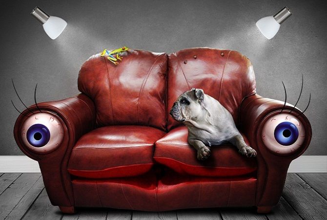 Surreal sofa wordpress 670x450