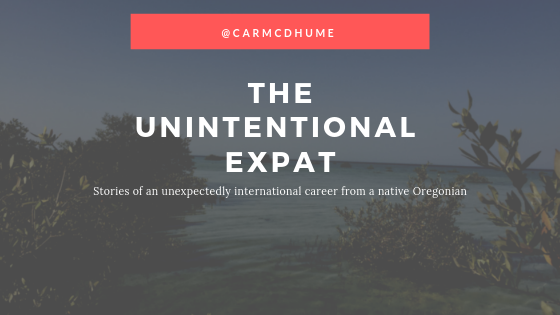 The unintential expat key visual 1