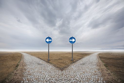 career paths 2